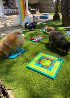 Rompecabezas | MultiPuzzle